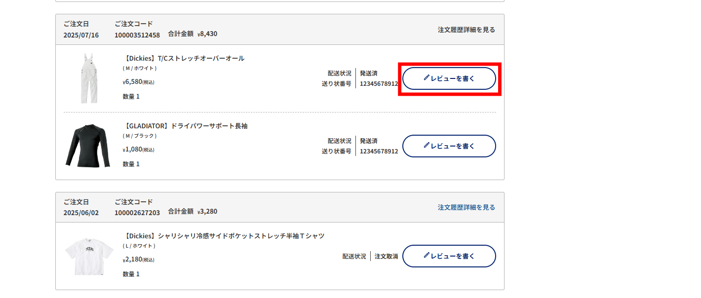 レビューを書く