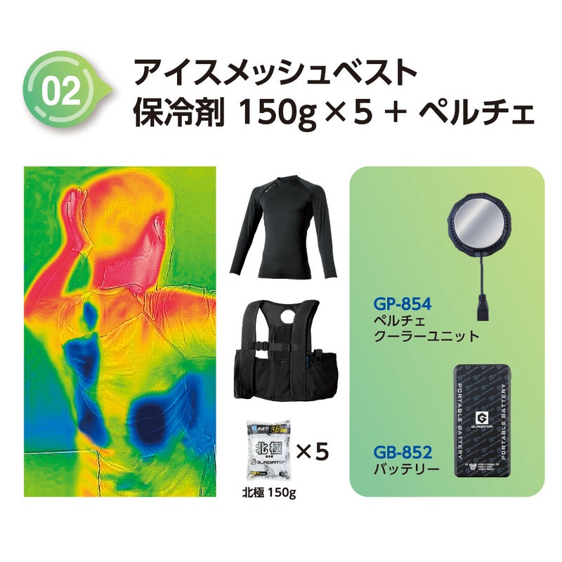 保冷剤150g×5+ペルチェ装着