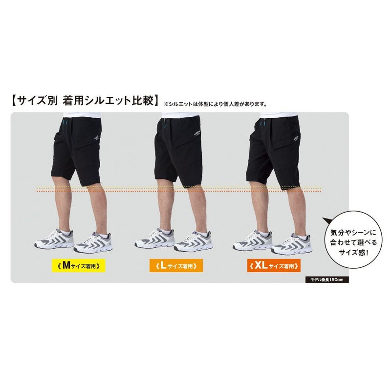 サイズ感比較